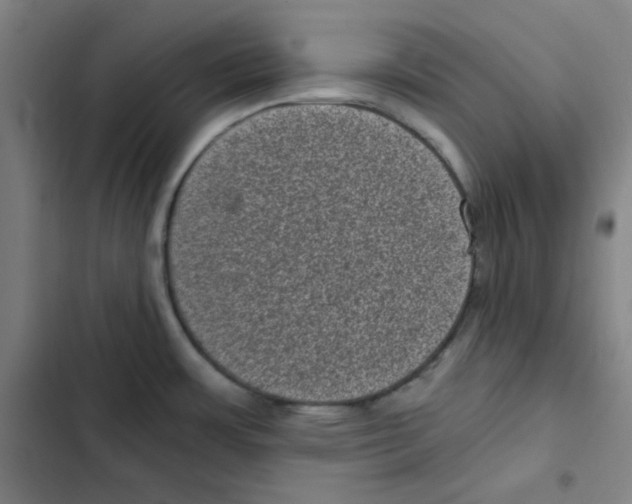 X0000102341483200808291125