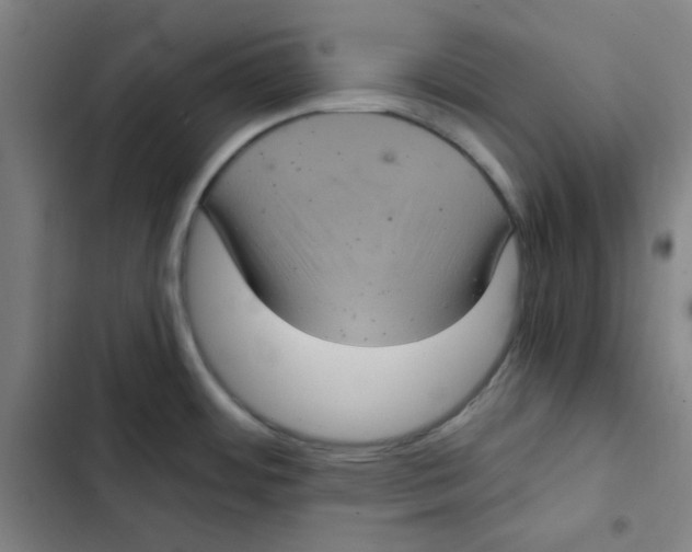X0000102341484200808291125
