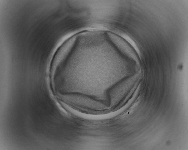 X0000102341485200808291125
