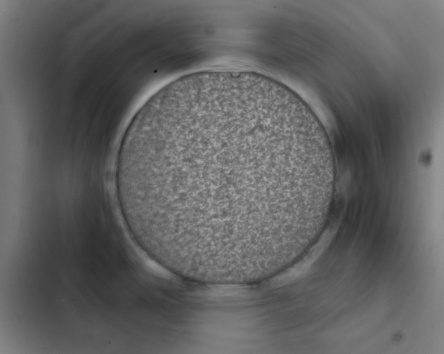 X0000102341486200808291125