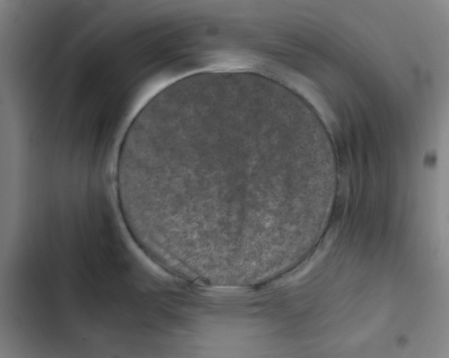 X0000102341487200808291125