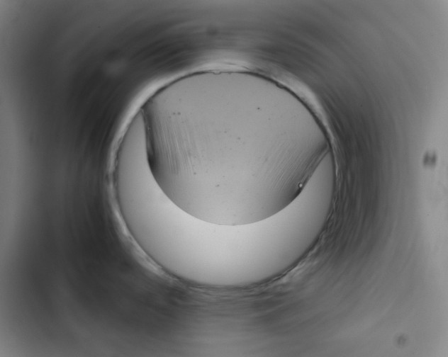 X0000102341488200808291125