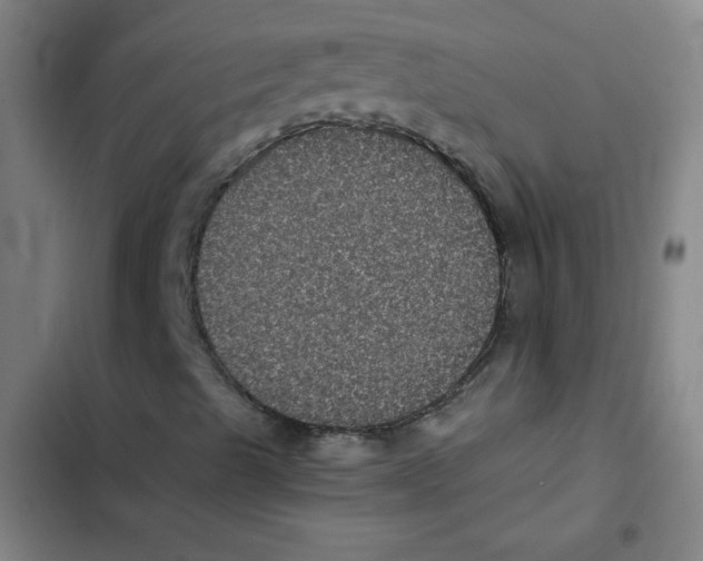 X0000102341489200808291124