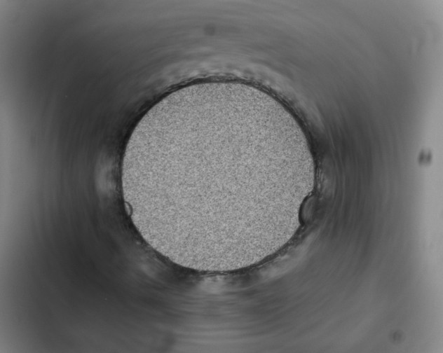 X0000102341490200808291124