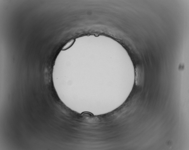 X0000102341491200808291125