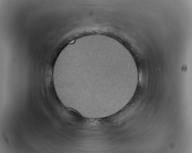 X0000102341492200808291125
