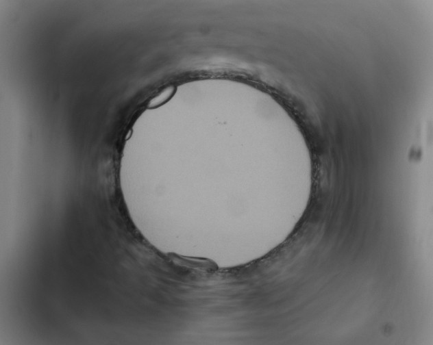 X0000102341493200808291125