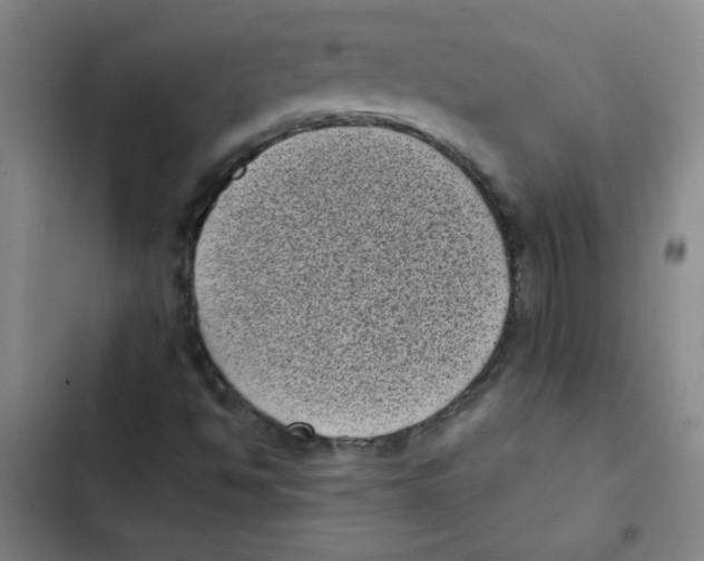 X0000102341494200808291125
