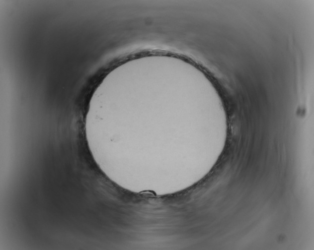 X0000102341495200808291125