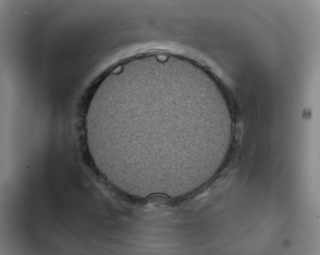 X0000102341496200808291125