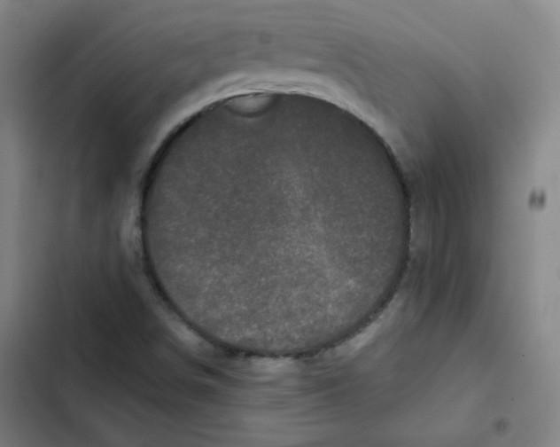 X0000102341498200808291125