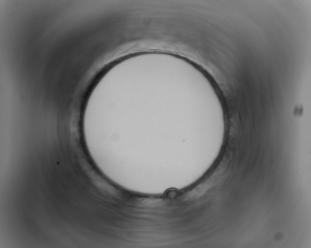 X0000102341499200808291125