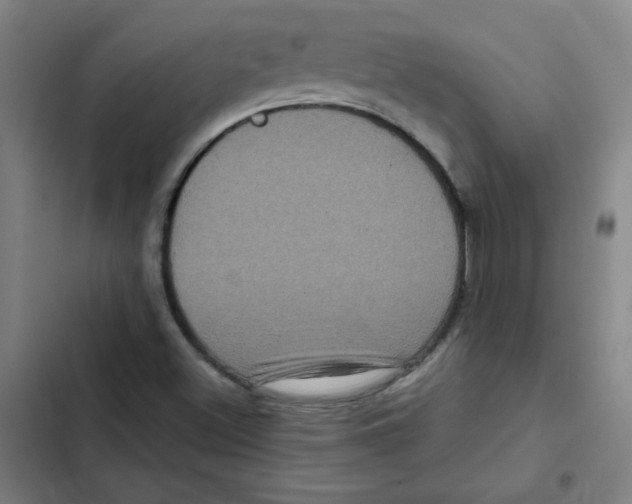 X0000102341500200808291125