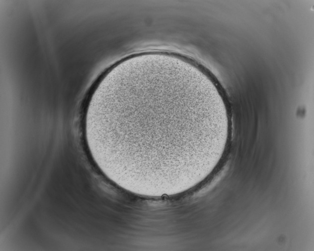 X0000102341501200808291125