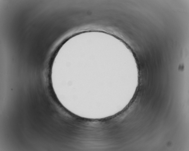 X0000102341502200808291125