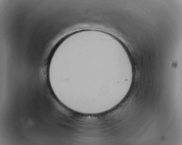 X0000102341503200808291125