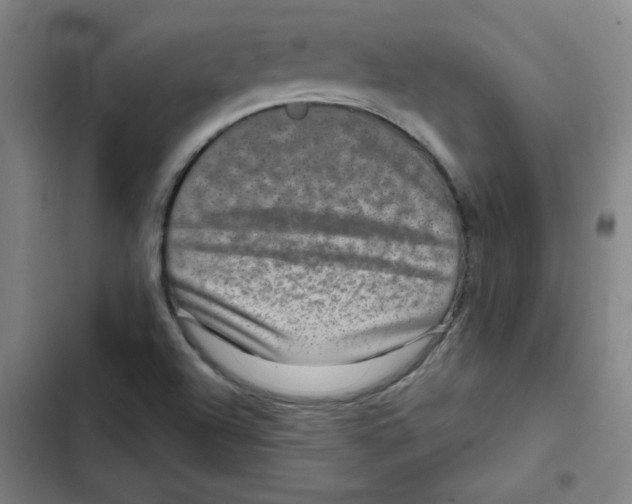 X0000102341504200808291125