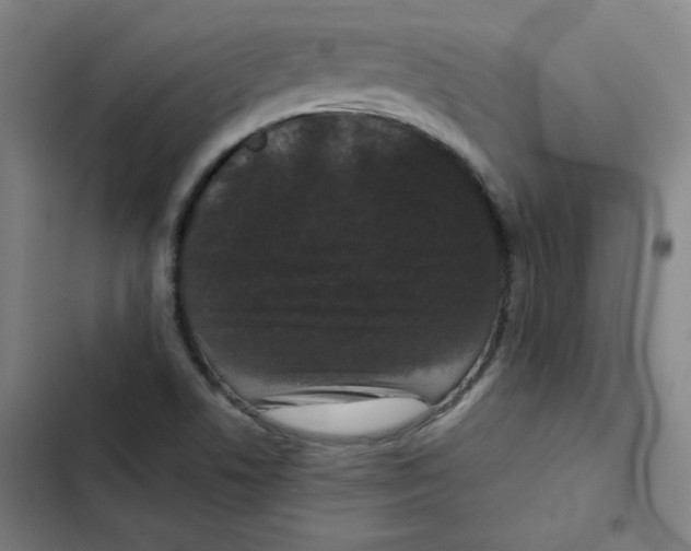 X0000102341506200808291125