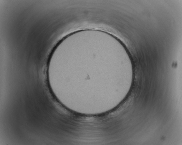 X0000102341507200808291125