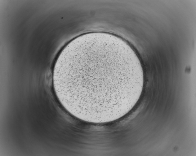 X0000102341509200808291125