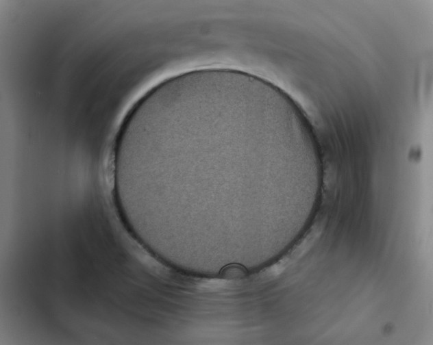 X0000102341510200808291125