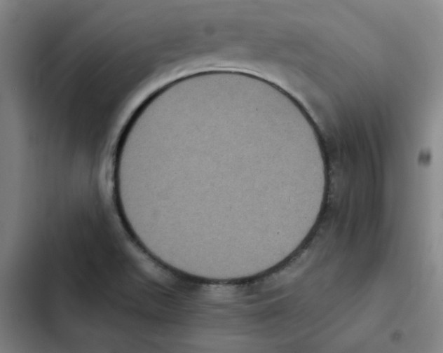 X0000102341511200808291125