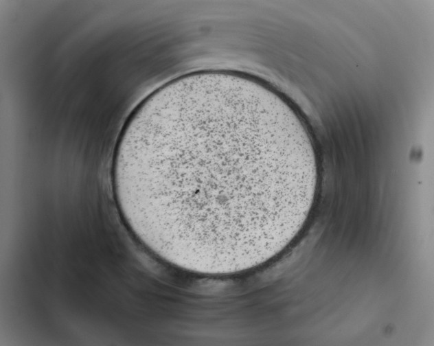 X0000102341513200808291125