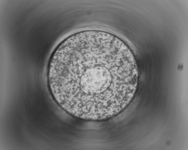 X0000102341514200808291125