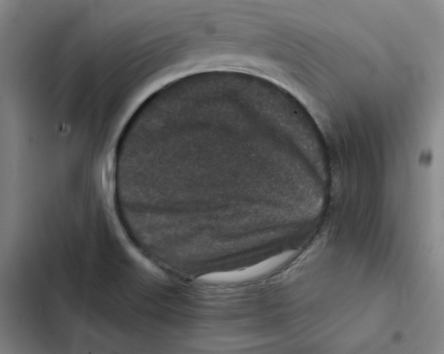 X0000102341515200808291125