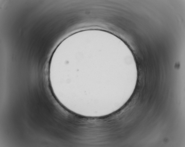 X0000102341516200808291125