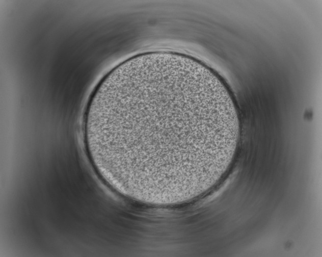 X0000102341517200808291125