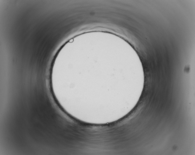 X0000102341518200808291125