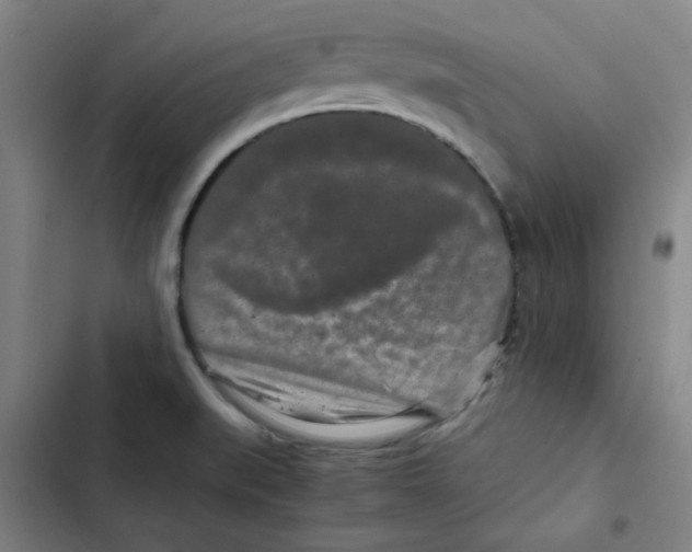 X0000102341519200808291125