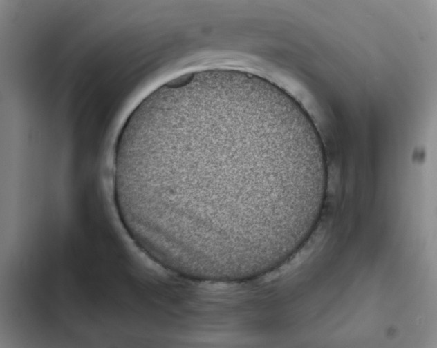 X0000102341520200808291125