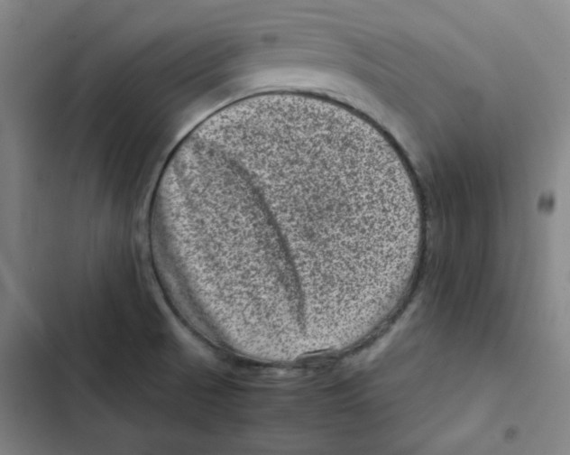 X0000102341521200808291125