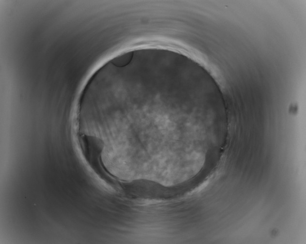 X0000102341522200808291125