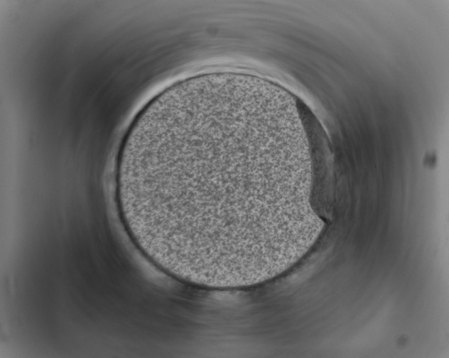 X0000102341523200808291125