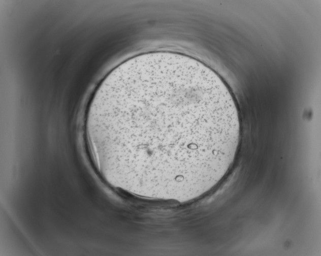 X0000102341525200808291125
