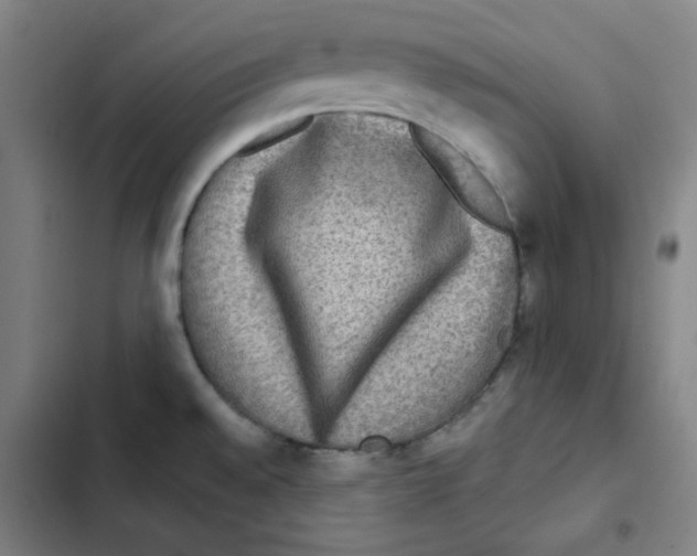 X0000102341528200808291125