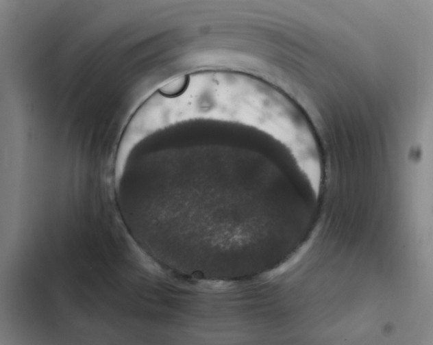 X0000102341529200808291125