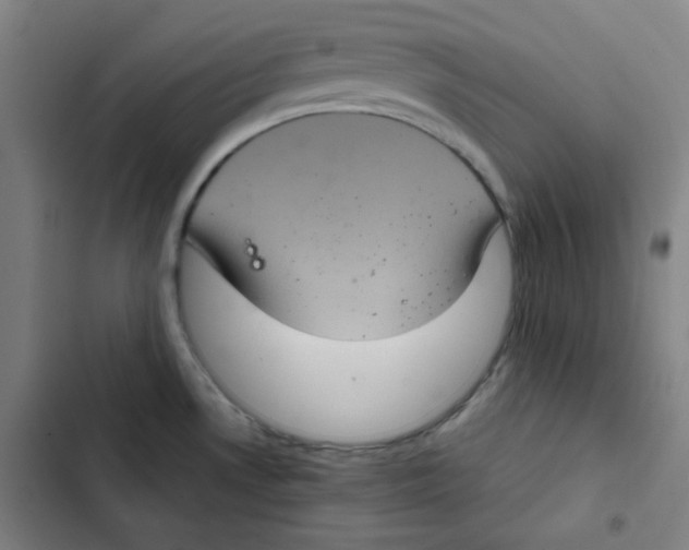 X0000102341530200808291125