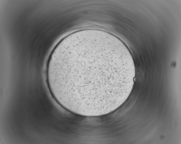 X0000102341531200808291125