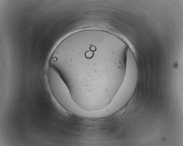X0000102341532200808291125