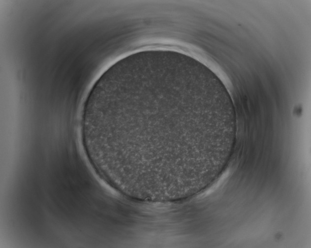 X0000102341533200808291125