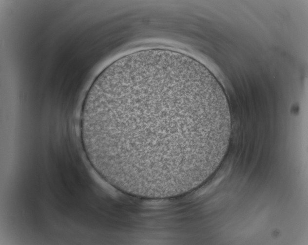 X0000102341535200808291125
