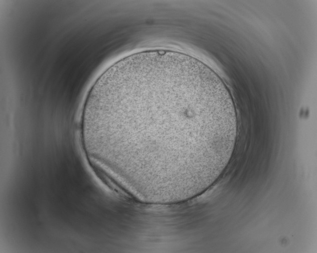 X0000102341536200808291125