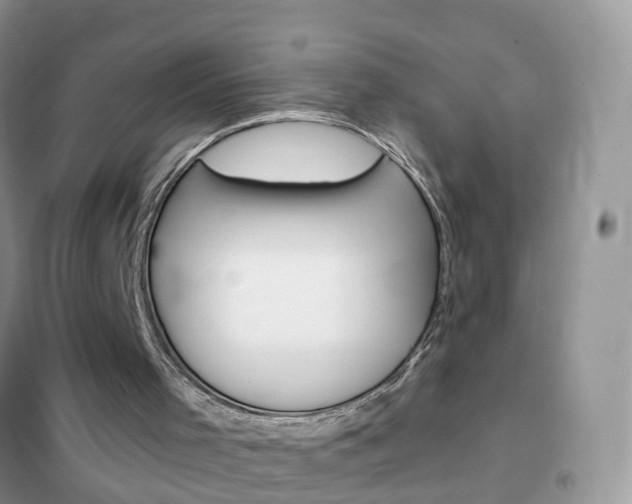 X0000102350001200808010946