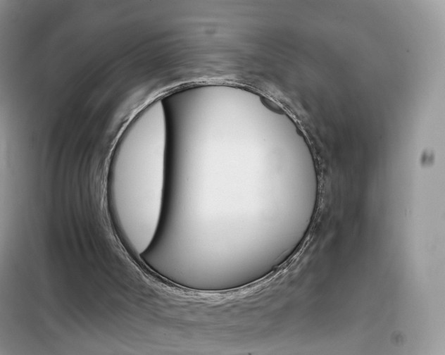 X0000102350002200808010946