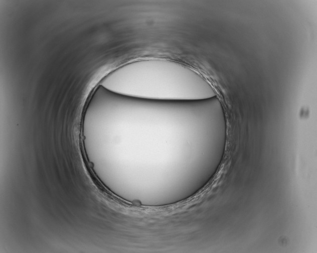 X0000102350003200808010946