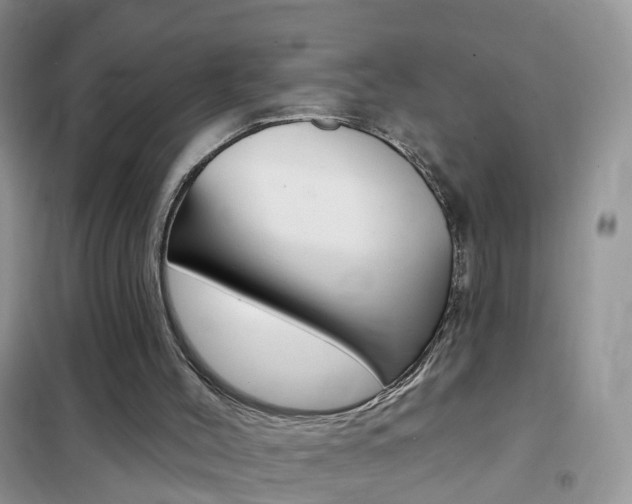 X0000102350004200808010946